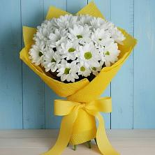 Букет цветов из:  Хризантемы в Ключах Омской области