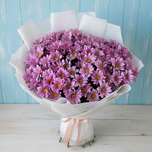 Букет цветов из:  Хризантемы #REPLACE_PRED# Ключах Омской области
