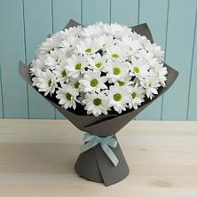 Букет цветов из:  Хризантемы в Ключах Омской области