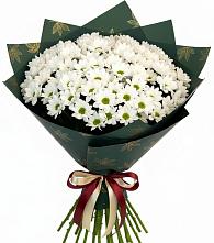 Букет цветов из:  Хризантемы в Ключах Омской области