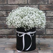 Цветочная композиция из Гипсофила в шляпной коробке в Ключах Омской области