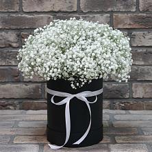 Цветочная композиция из Гипсофила в шляпной коробке в Ключах Омской области